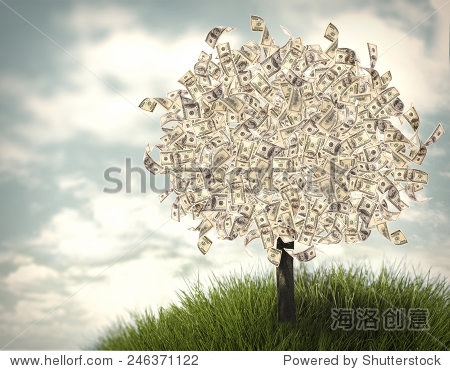 money tree on natural background