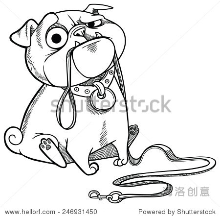 sad pug puppy sitting with dog-lead in its mouth