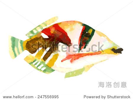 异国情调的鱼--热带毕加索引金鱼。水彩矢量图