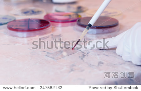医生或实验室科学研究人员准备涂片测试或血涂