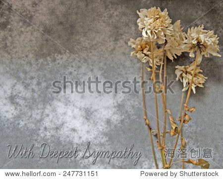 condolence card - with text with deepest sympathy - 站酷海洛正版