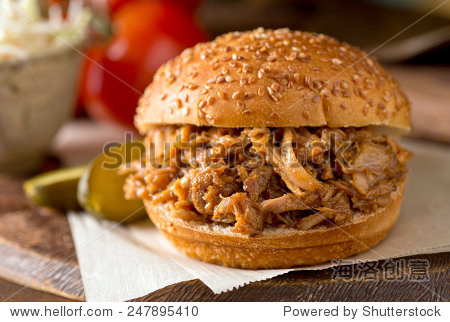 a delicious slow roasted pulled pork sandwich on a texas style