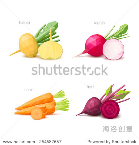 polygonal vegetables - carrot beet radish turnip.