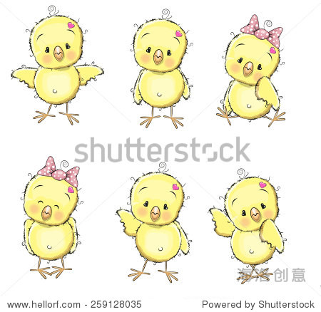six cute chicks isolated on a white background