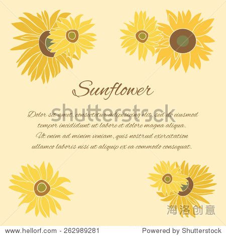 sunflower greeting card.
