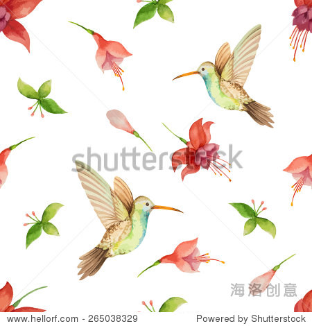 蜂鸟视频在哪里下 265038329.jpg