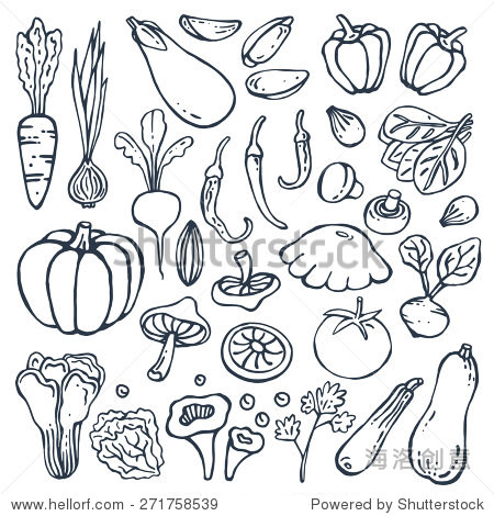 freehand drawing vegetables on white. vector illustration. set