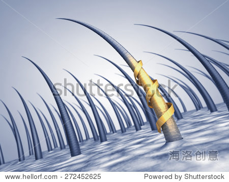 头发角蛋白强化和修复,洗发水治疗和护理 - 医