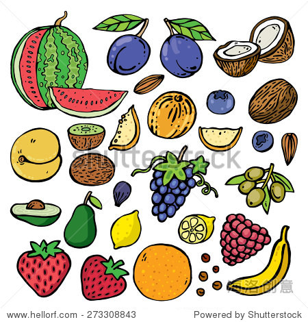 freehand color drawing fruits . vector illustration. set