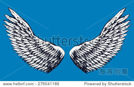 翅膀滑翔白色的羽毛。向量单色写意艺术潦草的