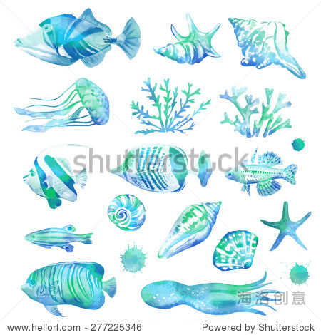 set of marine tropical fish and seashells. vector