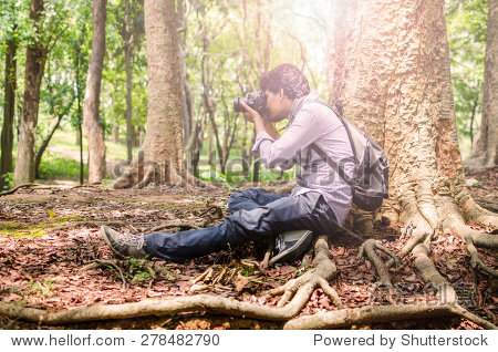 photographer taking photos sitting under a big tree using