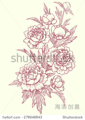 牡丹,剪贴画 牡丹,剪贴画