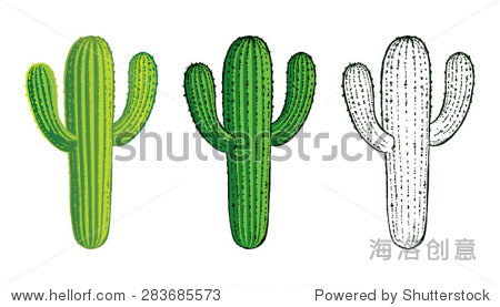 沙漠植物,仙人掌,仙人掌植物,多刺、多刺 - 艺术,抽象 - 站酷海洛创意正版图片,视频,音乐素材交易平台 - Shutterstock中国独家合作伙伴 - 站酷旗下品牌