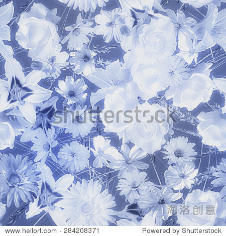 asters lilies and gerberas isolated on dark blue background