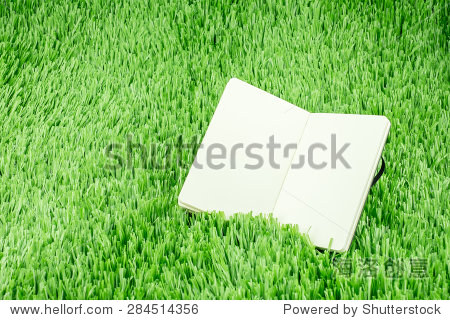 green grass怎么读 284514356.jpg