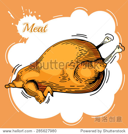 meat collages. illustration of a