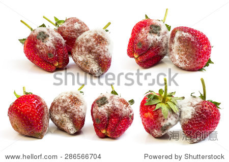 rotten strawberries isolated on white background