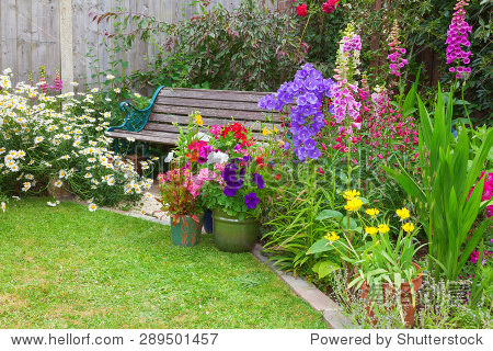 cottage garden with wooden bench and flowers in containers.