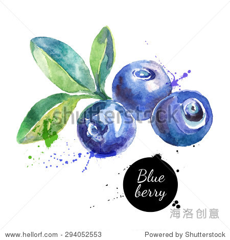 手绘水彩画蓝莓在白色背景上。矢量图的浆果-食品及饮料,自然-站酷海洛创意正版图片,视频,音乐素材交易平台-Shutterstock中国独家合作伙伴-站酷旗下品牌