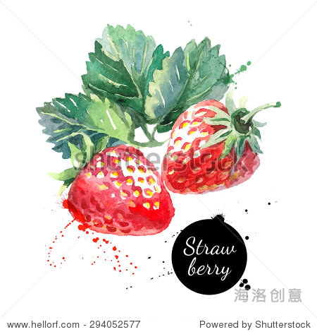 手绘水彩画草莓在白色背景。矢量图的浆果 - 食品及饮料,自然 - 站酷海洛创意正版图片,视频,音乐素材交易平台 - Shutterstock中国独家合作伙伴 - 站酷旗下品牌