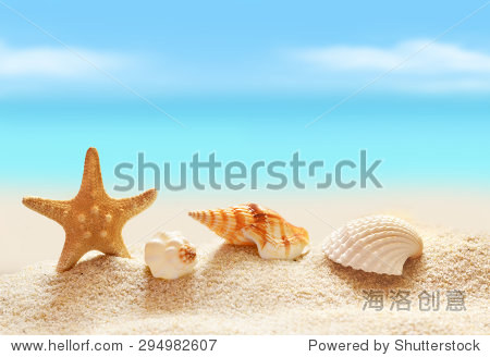seashells and starfish on seashore in tropical beach - summer