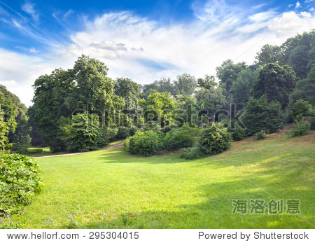 landscape with glade bushes and trees