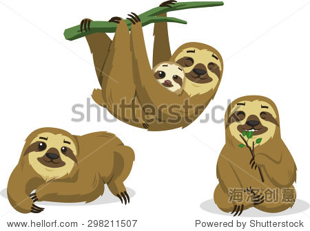 sloth rain forest two toed lazy mammal hanging sloths