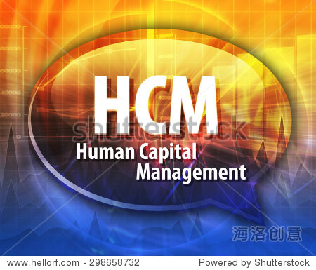 词讲话泡沫业务缩写词HCM人力资本管理的例