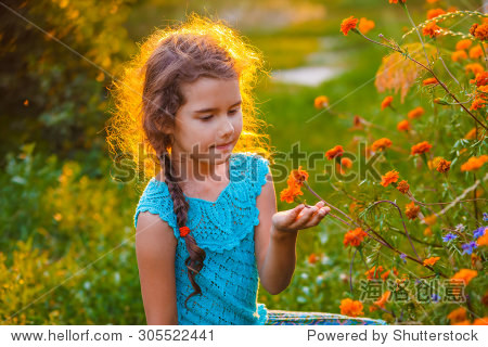 夏天女孩探索繁殖橙花在自然界探索女生户外区是照片日落图片
