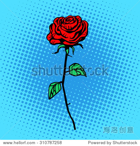flower red rose stem with thorns a symbol of love and romance