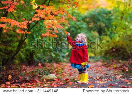 kids play outdoors in the park. children hiking in fall forest.