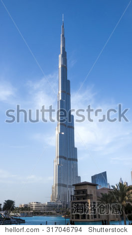 317046794.jpg