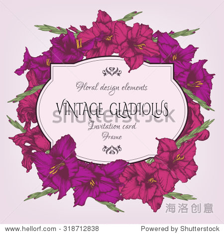 vintage floral card with a frame of hand drawn gladiolus flowers