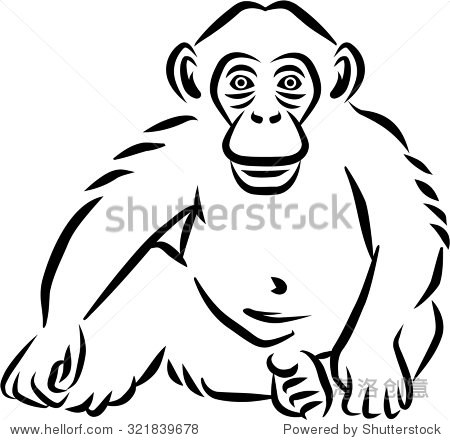 sitting baby chimpanzee hand drawn