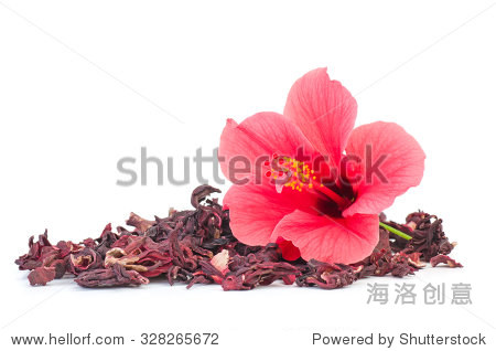 fresh and dried hibiscus flowers isolated on white background