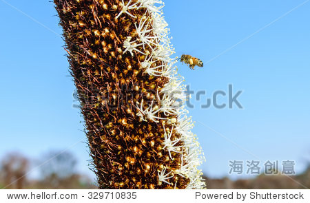 329710835.jpg
