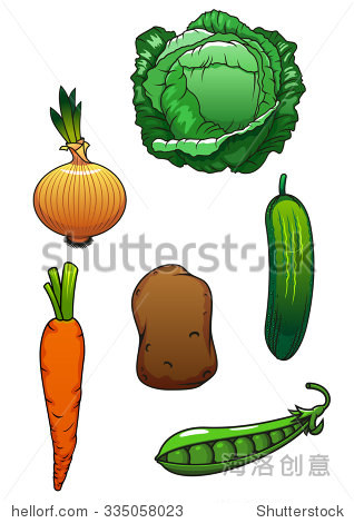 cucumber cabbage pea pod sweet orange carrot onion bulb and