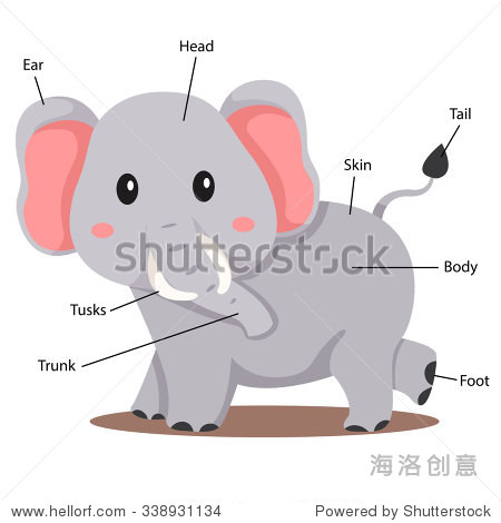 插画家大象的身体部分