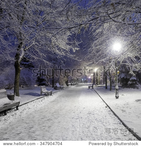 snowy night alley in the park in winter with a lot of frosty