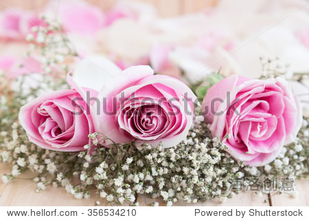 lover beautiful flower love concept for valentines day wedding