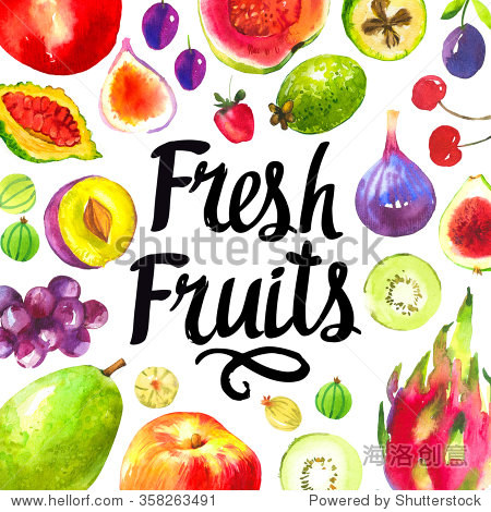sketch set of fresh fruits: plum grape guava peach fig kiwi