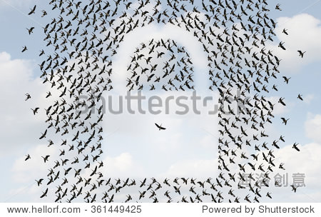 concept and security network symbol as a flock of birds flying