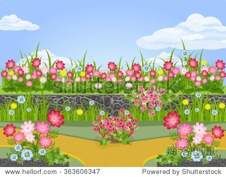beautiful summer flower garden