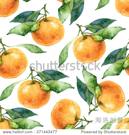 无缝的橘子用树叶模式。水彩插图-背景\/素材,食