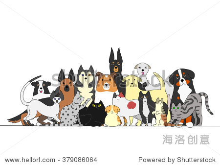 group of dogs and cats