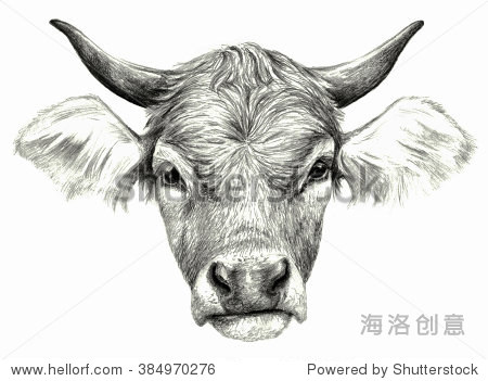 pencil ,