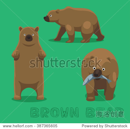 bear brown bear cartoon vector illustration