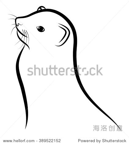 cute ferret - vector illustration