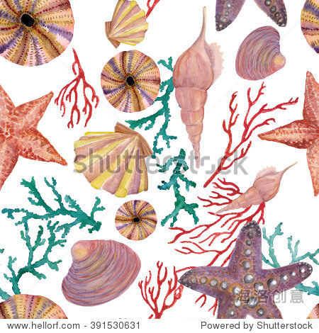 watercolor painting sea pattern with seashells starfish red and